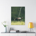 Load image into Gallery viewer, "Thor: Born Free at Nirvana" Canvas
