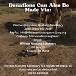 Load image into Gallery viewer, $0 raised out of $5,000 needed for Baby Faye's Vet Care
