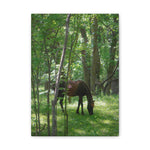Load image into Gallery viewer, "Unbothered by the World" Canvas
