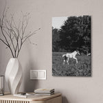 Load image into Gallery viewer, "Born to Run" Canvas
