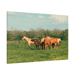 Load image into Gallery viewer, "Together in the Meadow" Canvas
