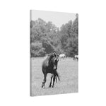 Load image into Gallery viewer, Copy of "Casting Shadows" Canvas

