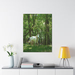 Load image into Gallery viewer, "The Watcher and the Wanderer" Canvas

