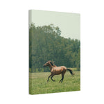 Load image into Gallery viewer, "The Run" Canvas
