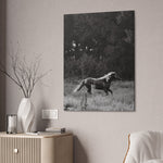 Load image into Gallery viewer, "Ely-Un-Bridled" Canvas
