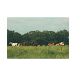 Load image into Gallery viewer, "Held by the Wild" Canvas
