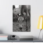 Load image into Gallery viewer, "A Star is Born" Canvas
