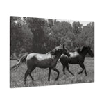 Load image into Gallery viewer, "Shadows in Motion" Canvas
