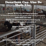 Load image into Gallery viewer, $42,831 left to raise to rescue 15 Mustangs from Slaughter Pipeline Kill Pens During Border Shutdown
