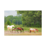 Load image into Gallery viewer, "Into New Waters" Canvas
