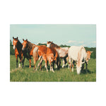Load image into Gallery viewer, "A Family of Many Colors" Canvas
