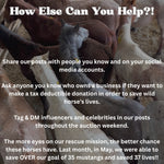 Load image into Gallery viewer, $42,831 left to raise to rescue 15 Mustangs from Slaughter Pipeline Kill Pens During Border Shutdown
