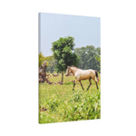 Load image into Gallery viewer, "Atticus-Still Walking Free" Canvas
