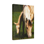 Load image into Gallery viewer, "Learning From Her Hoofprints" Canvas
