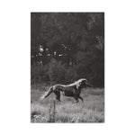 Load image into Gallery viewer, "Ely-Un-Bridled" Canvas
