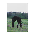 Load image into Gallery viewer, "Indigo Growing Strong and Wild" Canvas
