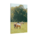 Load image into Gallery viewer, "Wild Hearted Play" Canvas
