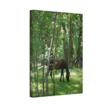 Load image into Gallery viewer, "Unbothered by the World" Canvas
