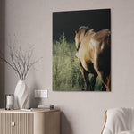 Load image into Gallery viewer, "Light Finds the Wild" Canvas
