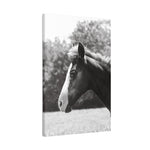 Load image into Gallery viewer, "A Glimpse Back" Canvas
