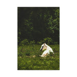 Load image into Gallery viewer, "Dawn in the Light" Canvas
