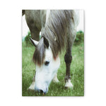 Load image into Gallery viewer, "In Her Own Rhythm" Canvas
