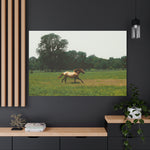 Load image into Gallery viewer, "Renegade Unleashed" Canvas
