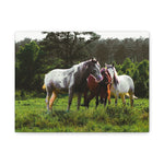 Load image into Gallery viewer, Copy of "A Family of Many Colors" Canvas
