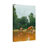 Load image into Gallery viewer, "A Moment to Refresh" Canvas

