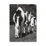 Load image into Gallery viewer, "A Place Among Their Own" Canvas
