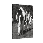 Load image into Gallery viewer, "A Place Among Their Own" Canvas
