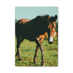 Load image into Gallery viewer, "Eyes That Follow" Canvas
