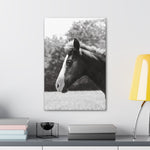 Load image into Gallery viewer, "A Glimpse Back" Canvas
