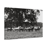 Load image into Gallery viewer, "When the Herd Runs" Canvas
