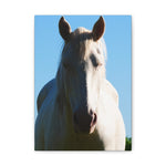 Load image into Gallery viewer, "Between Sun and Shadow" Canvas
