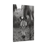 Load image into Gallery viewer, "A Star is Born" Canvas
