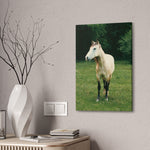 Load image into Gallery viewer, "Golden Stillness" Canvas
