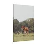 Load image into Gallery viewer, "Saturns Baby Girl" Canvas
