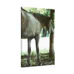 Load image into Gallery viewer, "Steely Dan" Canvas
