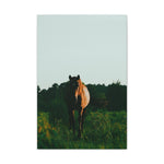 Load image into Gallery viewer, "Walking Into the Light" Canvas
