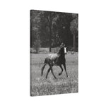 Load image into Gallery viewer, "Eyes on Freedom" Canvas
