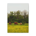 Load image into Gallery viewer, "A Quiet Distance" Canvas
