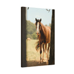 Load image into Gallery viewer, "Framed By Survival" Canvas
