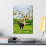 Load image into Gallery viewer, "Midnight Blooms" Canvas
