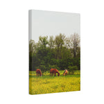 Load image into Gallery viewer, "A Quiet Distance" Canvas
