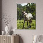 Load image into Gallery viewer, "Where the Sun Rest" Canvas

