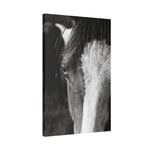 Load image into Gallery viewer, "Seen Through Henley's Eyes" Canvas
