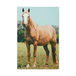 Load image into Gallery viewer, "She Stands Anyway" Canvas
