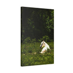 Load image into Gallery viewer, "Dawn in the Light" Canvas
