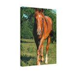 Load image into Gallery viewer, "Eyes Set Forward" Canvas
